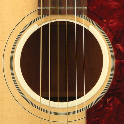 Planet Waves PW-OPWHL O-Port 1