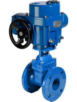 Задвижка чугунная с обрезиненным клином RSV61 DN65 PN10/16 с электроприводом 220В