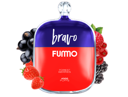 FUMMO BRAVO 4000 ЗАТЯЖЕК (ПЕРЕЗАРЯЖАЕМЫЕ)