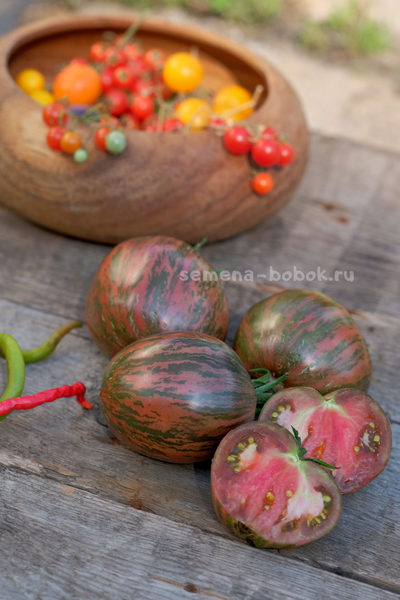 Томат Rebel Starfighter Blaine's Moonlight (Восставший Звездный Истребитель Лунный Свет Блэйна) , 10 шт