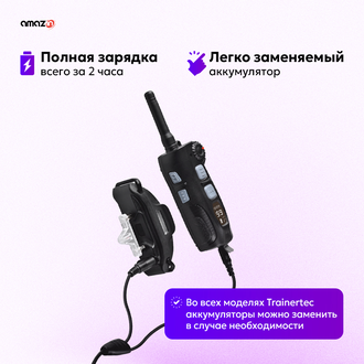 Электронный ошейник для собак DT4200