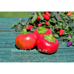 Перец сладкий Гогошар Савелова №15, 10 шт