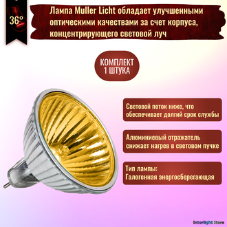 Muller Licht HLRG-520FG/Gold BAB/C 20w 12v 36° GU5.3
