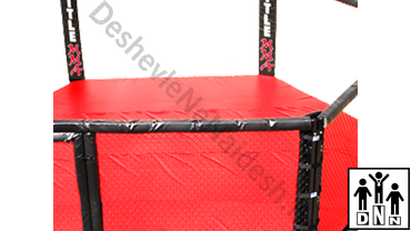 Защита на секции октагона