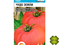 Томат "Чудо земли" (высокорослый, суперкрупный)