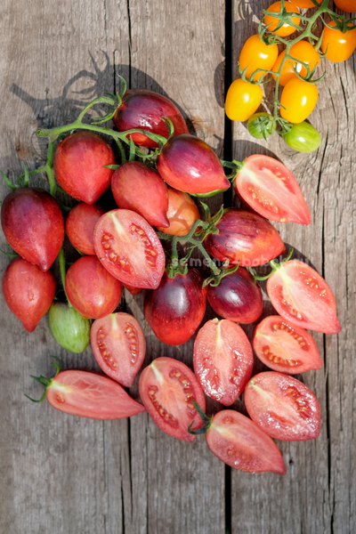 Томат Загадка Клубничного Водопада