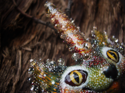 "Рогтябрь, осенний лесной кот", волшебная коллекционная брошь в стиле фэнтези