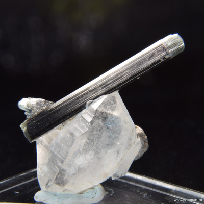 Турмалин на кварце. Пакистан. 31*18*14мм