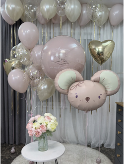 Набор шаров на выписку для девочки с милой Мышкой