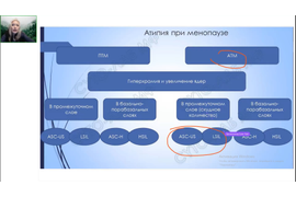 Курс по цитопатологии шейки матки