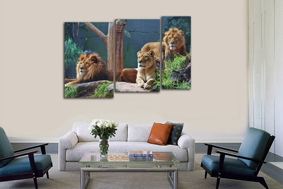 Модульная картина "Внимательные взгляды"