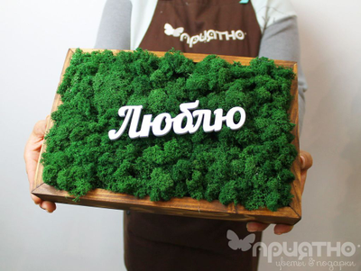 ЖИВАЯ ЭКО-КАРТИНА 1053