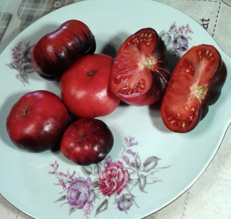 Семена томата Голубая красота