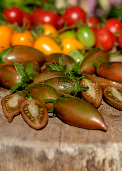 Томат Purple smaragd (Фиолетовый изумруд), 10 шт