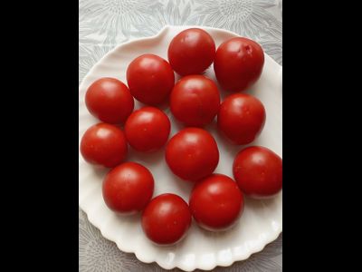 Томат Совершенство Ливингстона (Livingston's Perfection)