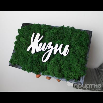 ЖИВАЯ ЭКО-КАРТИНА 1054