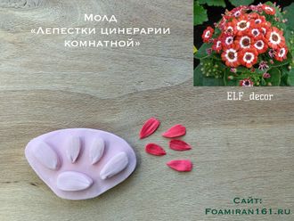 Молд «Лепестки цинерарии комнатной» (ELF_decor)