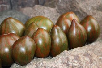 Маршин (Marsha's)