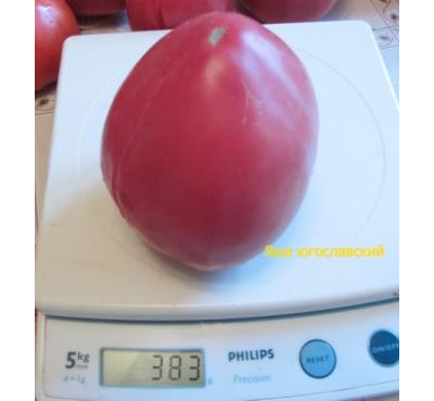 Томат Яша югославский (Yasha Yugoslavian)
