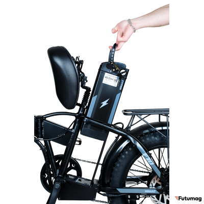 Электровелосипед Minako F10 PRO 20 (чёрный)