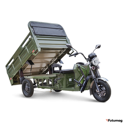 Грузовой электротрицикл Rutrike D4 NEXT PRO 1800 72V1500W зеленый