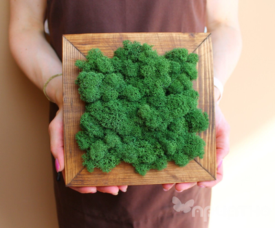 Живая Эко-Картина 1069