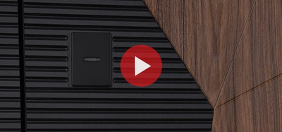 Стальная дверь   Сапсан с зеркалом (адаптивная замковая часть)