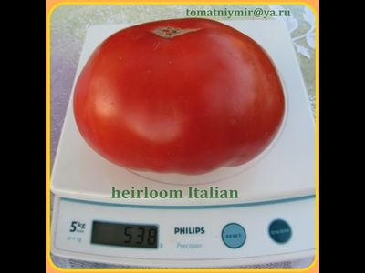 Томат Итальянские фамильные (Heirloom Italian)