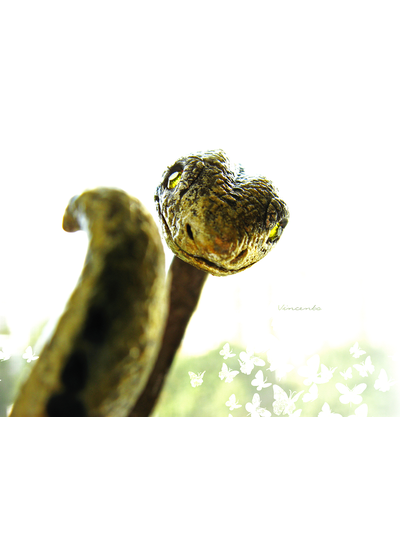 Золотая змейка. Браслет в виде змеи из полимерной глины