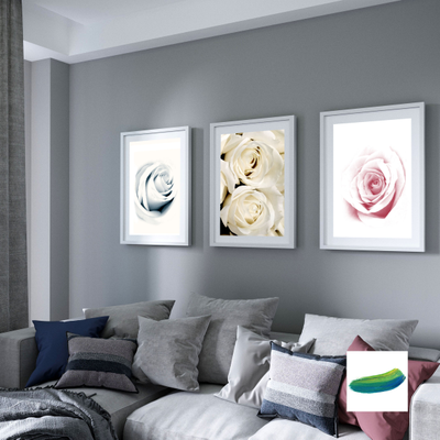 Три постера из коллекции «Цветы»  - «Раскрывающаяся роза», «Бутон розы» и «Две розы».