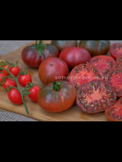 Томат Dwarf PPI (Гном ППИ), 10 шт