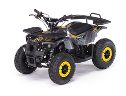 Детский квадроцикл MOTAX GRIZLIK Х16 (PS, BW)