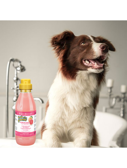 Шампуни и кондиционеры для собак