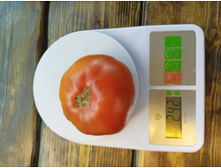 Томат Санта Лючия, (Sainte Lucie) США