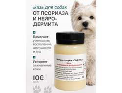 МАЗЬ ОТ ПСОРИАЗА И НЕЙРОДЕРМИТА ДЛЯ СОБАК 100 ГР.
