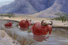 Фентезийный мир Урсулы Вернон (Ursula Vernon)