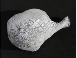 Кахолонг (Опал) желвак цельный