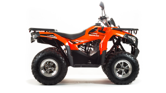 Купить Квадроцикл MOTOLAND ATV 200 MAX