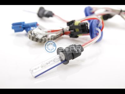 Ксеноновая лампа H1 Dixel UXV Ceramic +30%, 4300K, 1шт