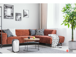 Осушитель воздуха серии NEKO S RAD-N10T3E