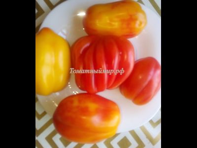 Томат Калифорнийский тюльпан (California tulip)