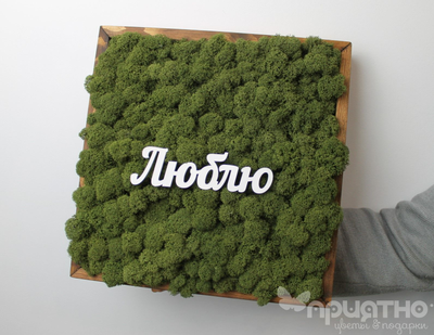 ЖИВАЯ ЭКО-КАРТИНА 1063