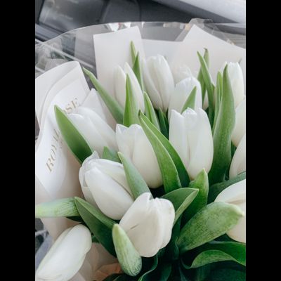 Белые тюльпаны Moon light 35 шт