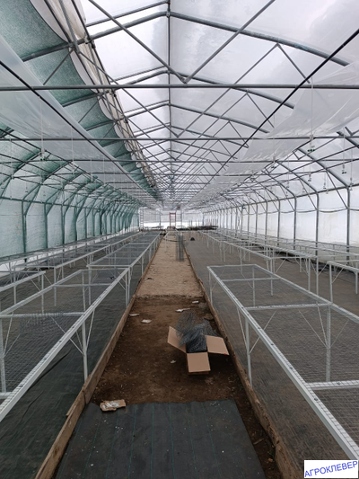 Система тумана низкого давления (480м2) 9,6 х 50м расход 5,2м3/ч (без ёмкости)