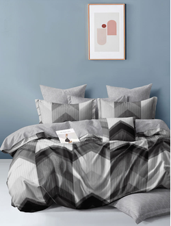 Постельное белье евро TANGO Dream Fly микросатин 200x220x1 220x245x1 50x70x2 DF03-542