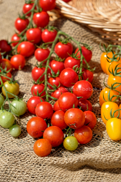 Томат-черри  Красная Вишня, 10 шт