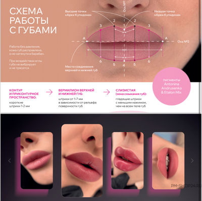 Etalon Mix LIGHT SERIES Asia в магазине pm-shop24.ru