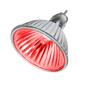 Галогенная лампа Muller Licht HLRG-535F/Rot 35w 12v GU5.3 FMW/C