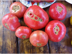 Томат Сладкая свекла (Dulcea de Fagaras), Италия