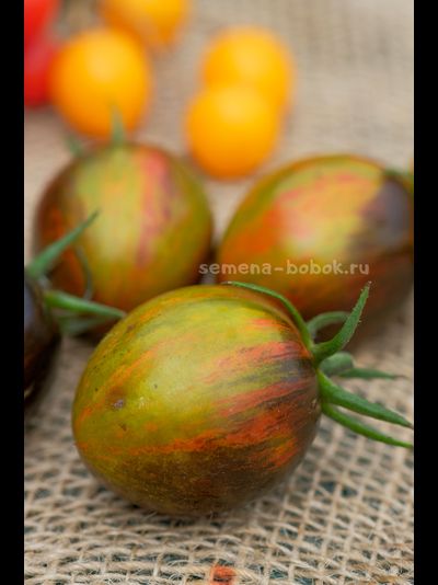 Томат Atomic Fusion (Атомный Сплав), 10 шт